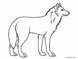 Wolf Ausmalbilder Ausdrucken Lobos Ausmalbild Malvorlagen Cool2bkids sketch template