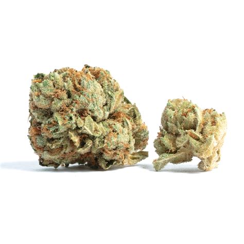 classic og strain weedxpress dispensary uk buy marijuana  uk