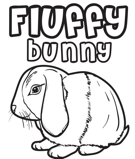 printable bunny rabbit coloring page  kids supplyme