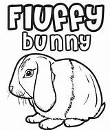 Coloring Bunny Rabbit Printable Kids Click sketch template