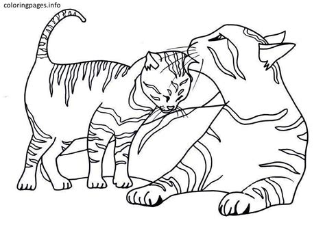 tabby cat coloring pages cat coloring page animal coloring pages