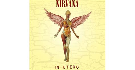 nirvana in utero 1993 banned in the u s a 20 wildest censored