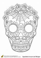 Toile Araignee Squelette Sucre Fleurs Coloriag Malvorlage Skulls Tolle Herunter Diese Lade Drucke Tarjetas Catrinas Partager Cuantos Unos Sellos sketch template