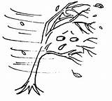 Windy Wind Clipart Weather Coloring Drawing Pages Kids Colour Clip Tree Lessons Trees Line Storm Colouring Cliparts Gif Color Drawings sketch template