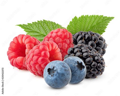 wild berries mix raspberry blueberries blackberries isolated