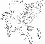 Griffin Gryphon Lineart Pegacorn Galery Lines sketch template
