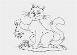 Cat Coloring Mouse Pages Books Kids sketch template