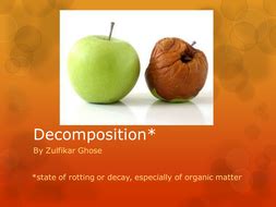 decomposition teaching resources