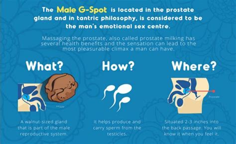 pin by bondi on prostate care prostate milking tantric