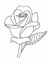 Rose Line Drawing Drawings Lineart Outline Flower Deviantart Coloring Roses Pages Simple Flowers Colouring Printable Embroidery Tattoo Color Board Books sketch template
