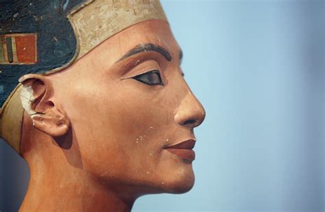 nefertiti more tests on tutankhamun s tomb need to be carried out