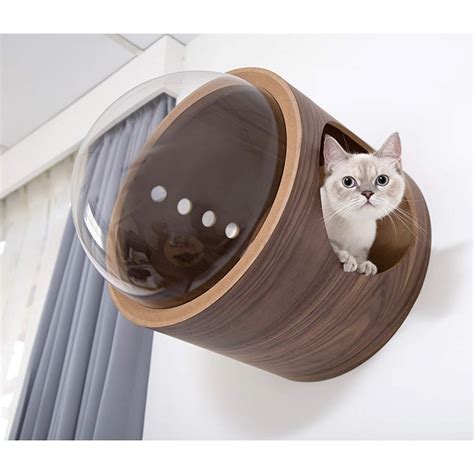 spaceship gamma ultra modern cat bed  wall mounted bed   catsplay superstore