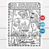 Alabama Coloring State Map Wildlife Pages States United Symbols sketch template