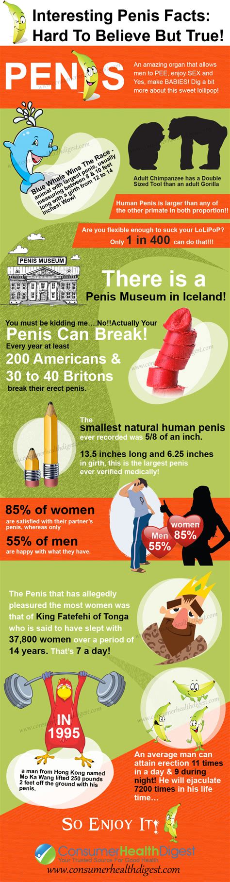 know the interesting penis facts which are 100 true