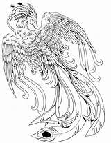 Kissy Mythical Colouring Printable Ausmalen Fawkes Fenix Drawings Colorare Creature Downloaden Adulti Phenix Birds Malvorlagen Drudge sketch template