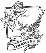 Arkansas Coloring Pages Printable Flag Illinois State Razorbacks Color Colorings Supercoloring Getdrawings Kids Getcolorings Facts Template Categories Silhouettes sketch template