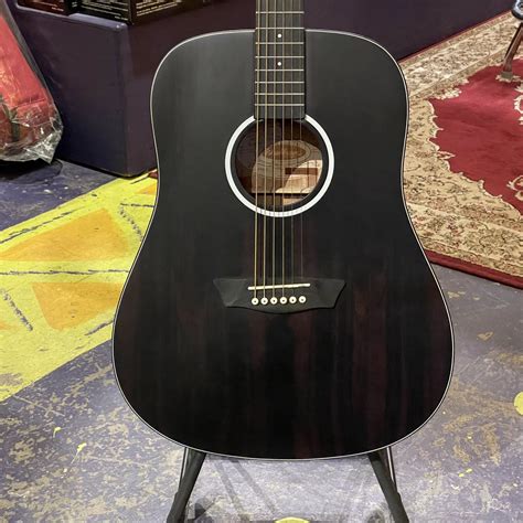 Washburn Deep Forest Ebony Ace Acoustic Guitar