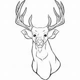 Coloring Deer Pages Antlers Printable Getdrawings sketch template