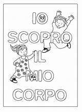 Corpo Scopro Umano Colorare Maestra Attivita Riconoscere Cervello Controlla Sonno Permette Ritmo Respiro Odori Suoni sketch template