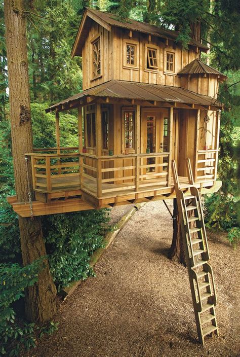 amazing dream tree houses