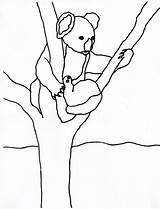 Koala Coloring Pages Kids Tree Eucalyptus Printable Animal Children sketch template