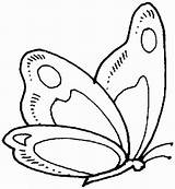 Coloring Butterfly Pages Cute Drawing Choose Board Kids sketch template