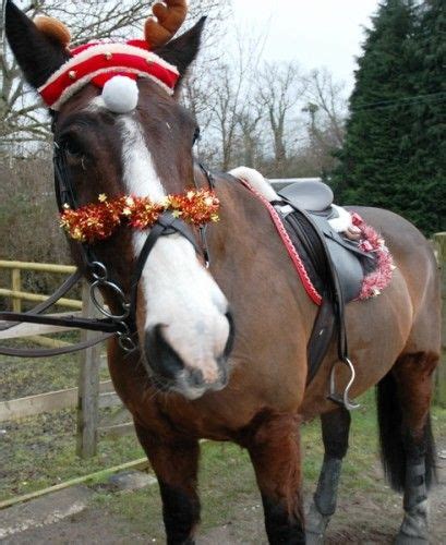 christmas horse costume google search christmas horses animal