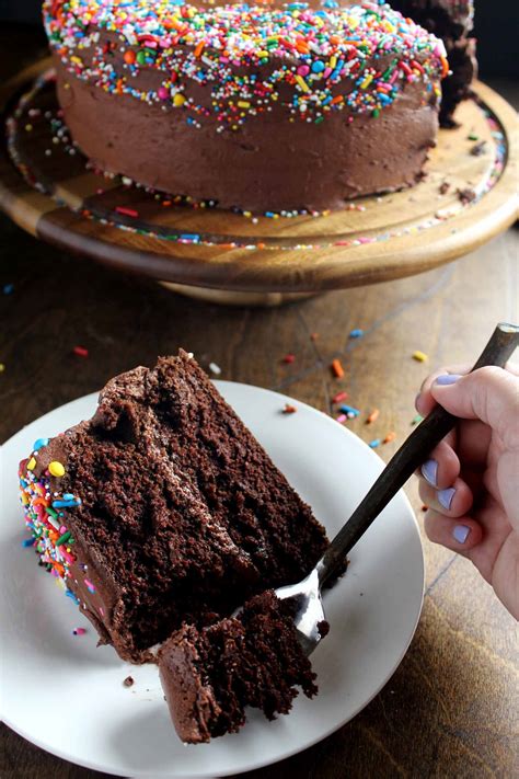 classic chocolate birthday cake wyldflour