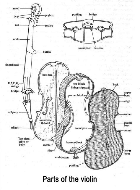 interest  violin making check   exhibit violin lessons  lessons learn