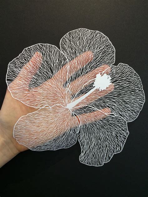 amazing detailed paper cut art  maude white inspiration