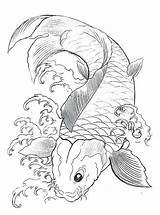 Fish Coloring Realistic Pages Tropical Getcolorings sketch template