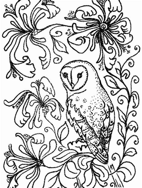 barn owl coloring pages trend kids coloring pages outline owl