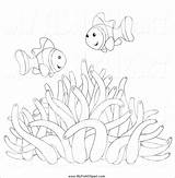 Anemone Coloring Sea Pages Coloringbay sketch template