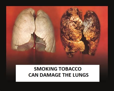 tobacco ill effects in the your body stop taking tobacco