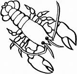 Lobster Outline sketch template