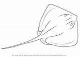 Stingray Fishes Dibujar Sting Manta Stachelrochen Printmaking Raya Drawingtutorials101 Rochen sketch template