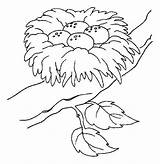 Nest Coloring Bird Pages Eggs Drawing Place Safest Colouring Color Printable Tocolor Animal Drawings Sketch Getdrawings Template Choose Board 616px sketch template