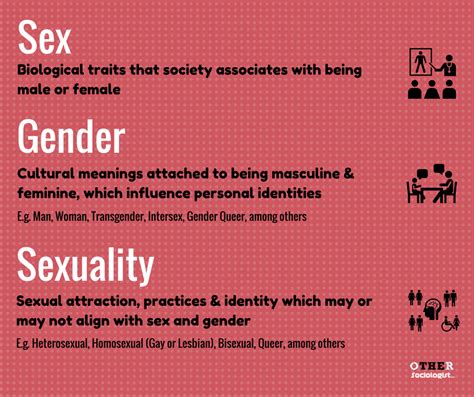 sex gender and sexuality sociology definitions by othersociology