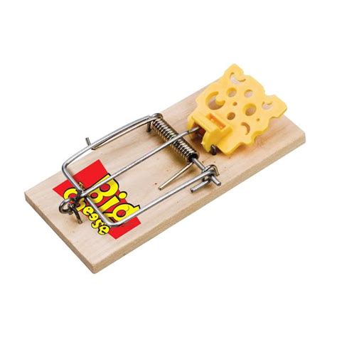 big cheese baited mouse trap  pack hardware heaven