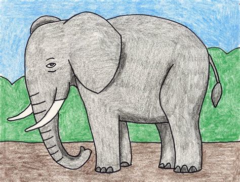 draw  elephant art projects  kids