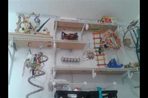 parrot play area  wire shelves    box parrot play areas pinterest