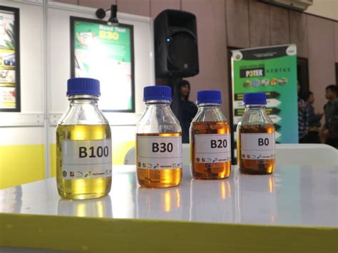 egindo ri gunakan biodiesel  mulai  februari
