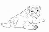 Puppy Lineart Bulldogs Dogs sketch template