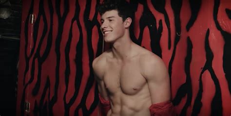 shawn mendes says he loves being thirsted after by gay youtuber queerty