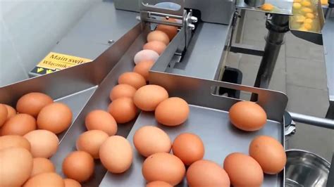 yumurta kirmak ve soymak icin son teknoloji makineler amazing food