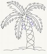 Palm Tree Draw Sketch Beach Drawing Easy Trees Line Step Leaves Drawings Cartoon Easydrawingguides Fruit Sketches Some Pencil Tutorial Fruits sketch template