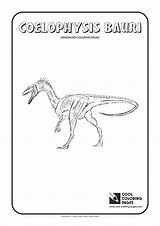 Coloring Coelophysis Pages Bauri Cool Dinosaurs Print sketch template