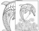 Coloring Dolphin Adult Pages Nautical Adults Print Sheet Ocean Sea Printable Psychology Pdf Christmas Color Getcolorings Skyrim Book Getdrawings Colouring sketch template