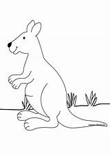 Kangourou Coloriages Kangaroo sketch template