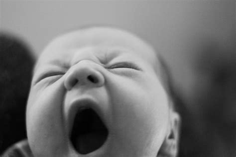 neurodojo   yawning contagious